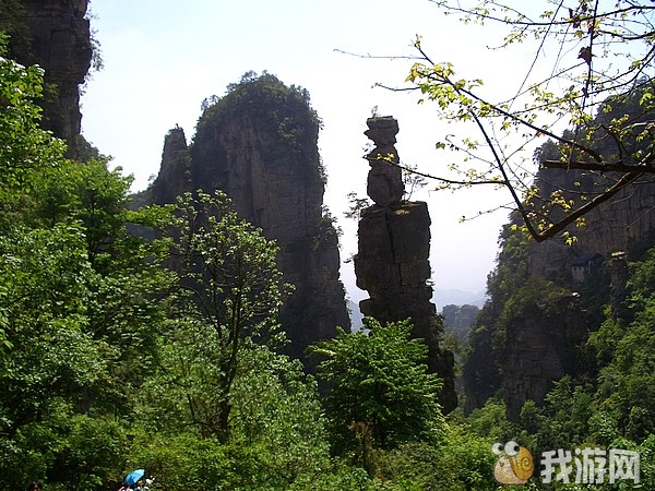 乌龙寨那里.jpg